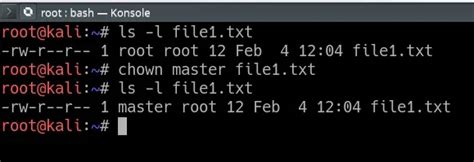 chown 777|How to Change File Ownership in Linux .